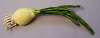 Robert Original Enameled Leek Vegetable Pin