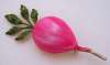 Robert Original Pink Beet or Radish Pin