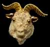 Razza Ram - Zodiac Sign of Aries