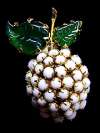 Schreiner Fruit Pin