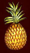 Enameled Pineapple Pin