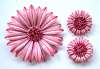 1960's Enameled Pink Stripe Dahlia Flower Pin & Earring Set