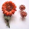 Vintage Orange Enameled Flower Power Pin & Earring Set