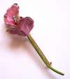 Original by Robert Pink Iris Flower Pin