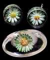 Green/White/Yellow Daisy Lucite Pin