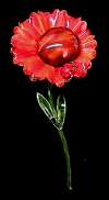 Robert Red Flower w/ Ladybug Pin